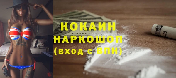 винт Алзамай