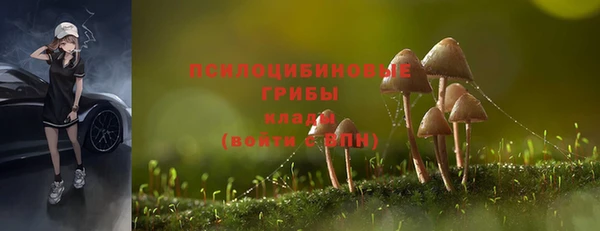 винт Абинск