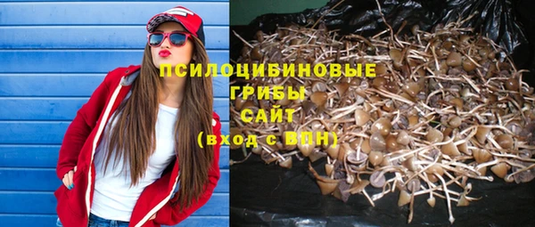 винт Абинск